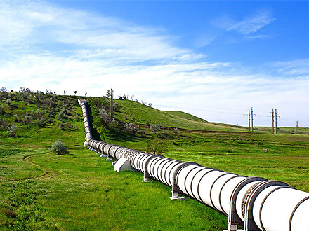 C7在线娱乐产品中心八